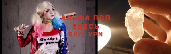 гашик Михайлов