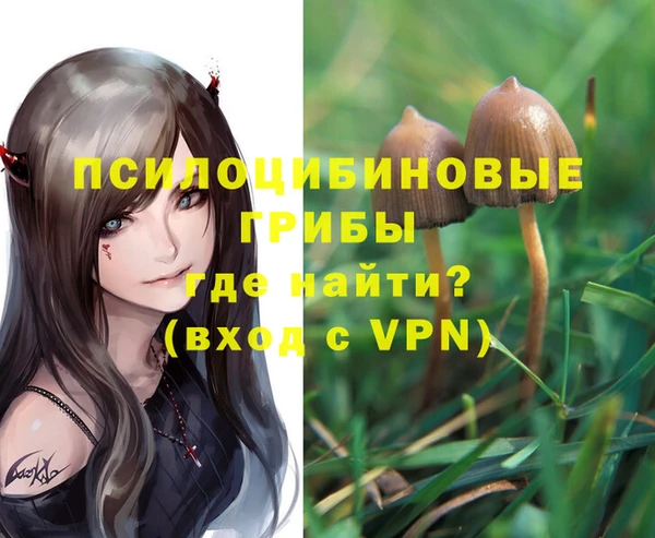 амф Михайловка