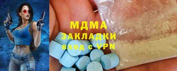 индика Гусев