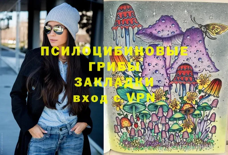 купить  сайты  Курчалой  Галлюциногенные грибы MAGIC MUSHROOMS 