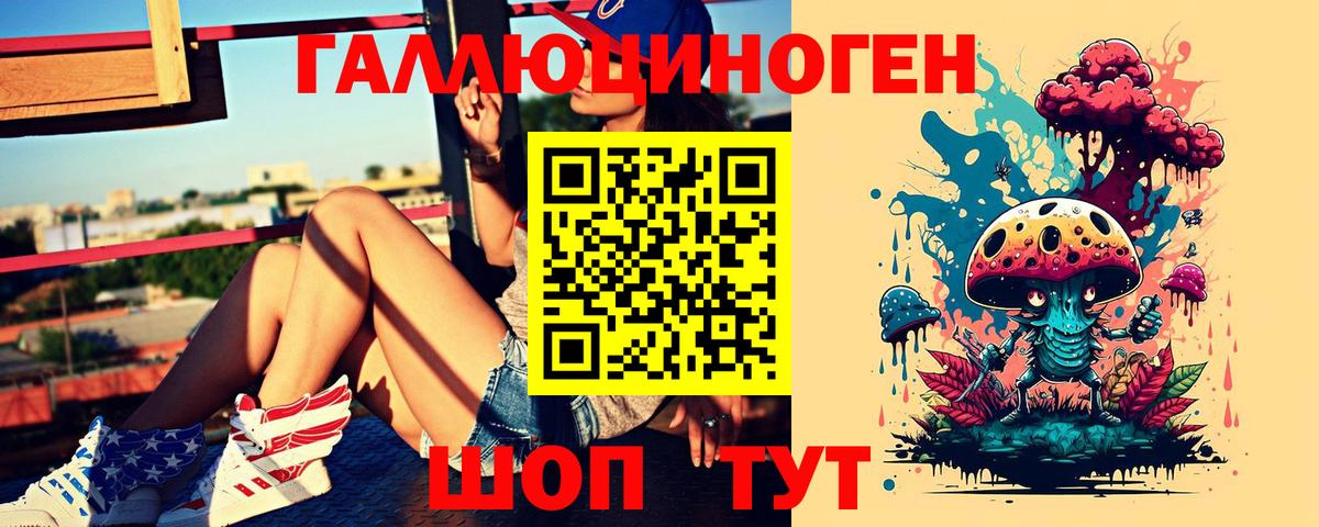 Курчалой  Галлюциногенные грибы GOLDEN TEACHER  Вход с VPN  Псилоцибиновые грибы мицелий 