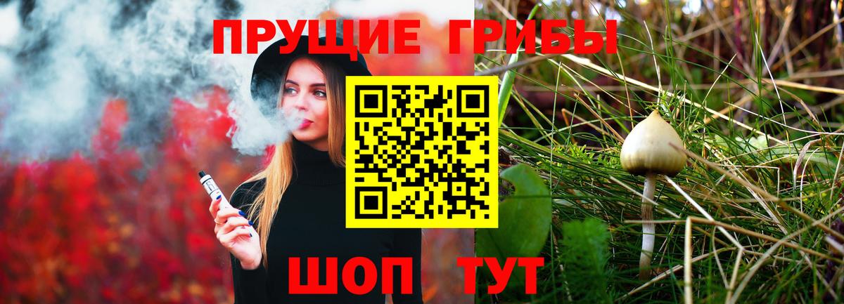 Галлюциногенные грибы Psilocybine cubensis Курчалой